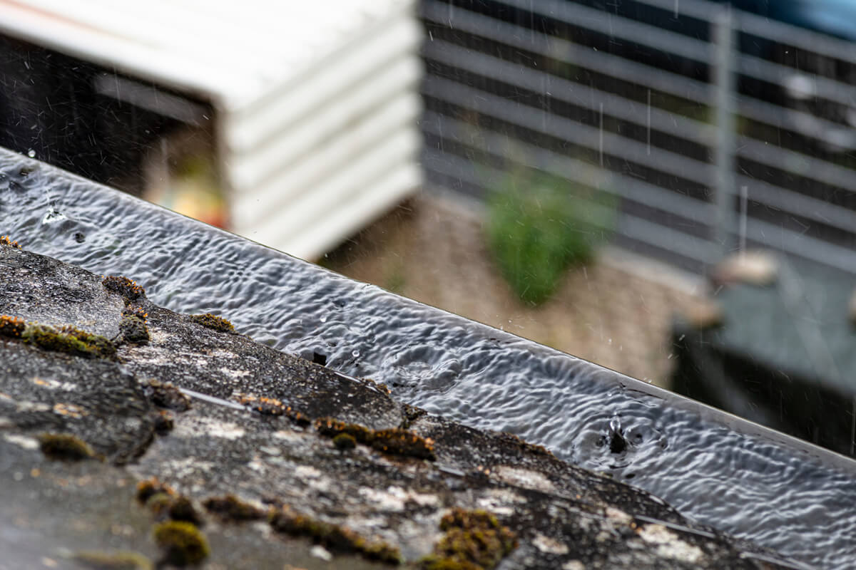 We can tackle various gutter issues, focusing on cost-effective maintenance and repairs